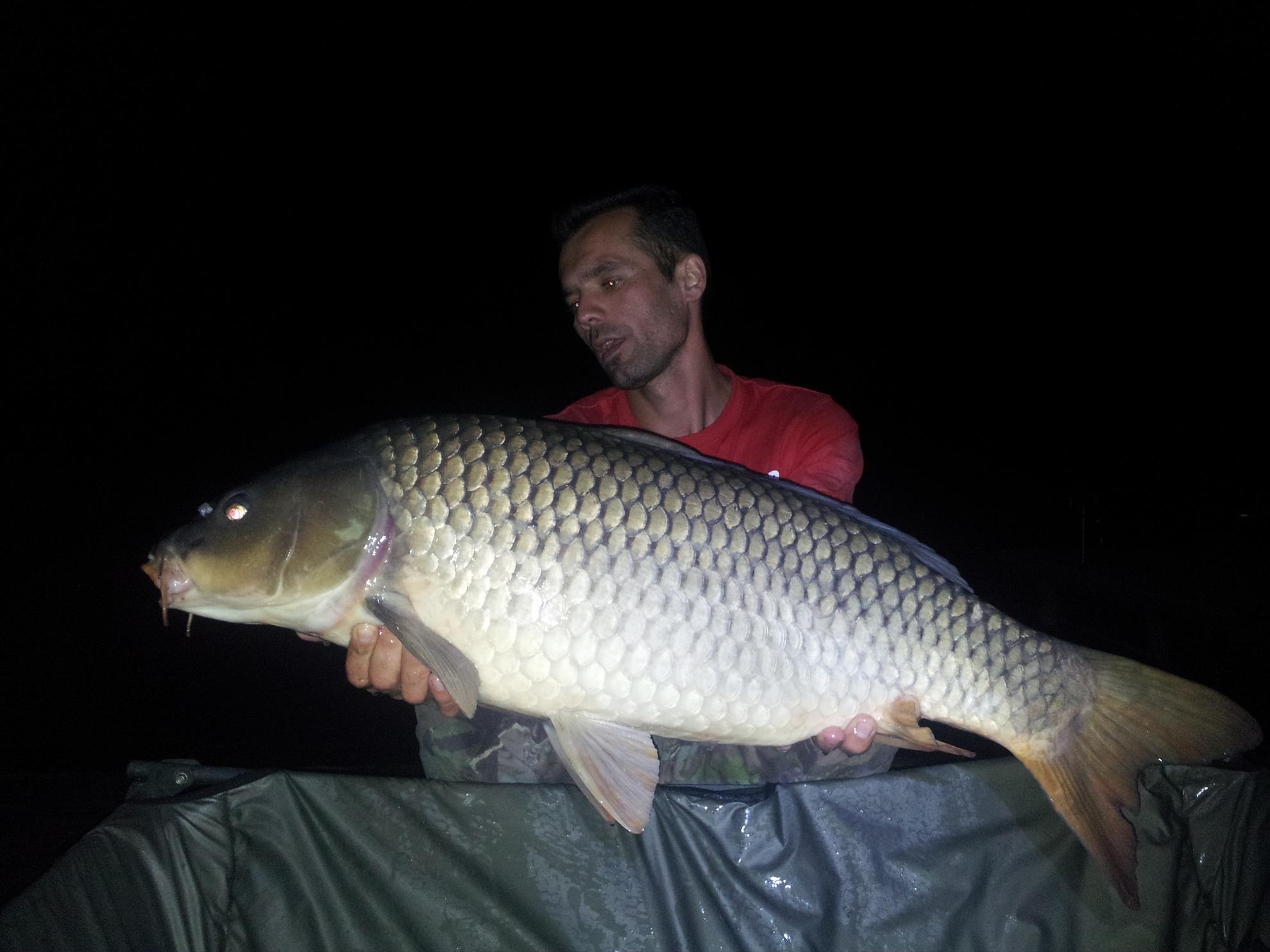 Tancabesti 31 august - 7 septembrie 2014 - 20140906040921.jpg